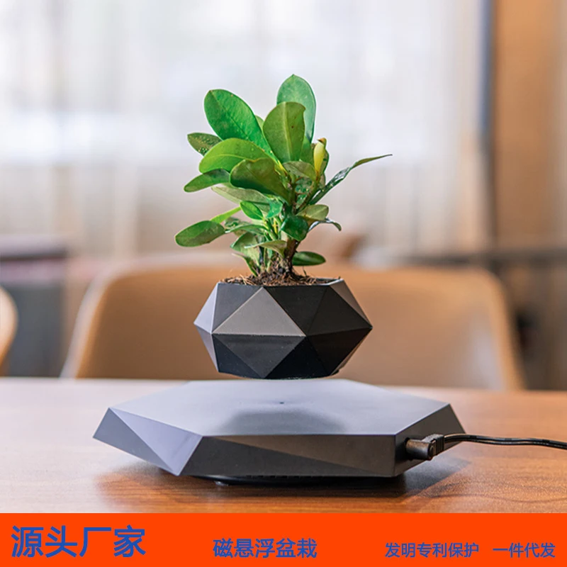 Cross-border magnetic levitation plant pot, creative aerial bonsai plant and flower, unique ins-style home and office decoration
Cross-border magnetic levitation plant pot, creative aerial bonsai plant and flower, unique ins-style home and office decoration