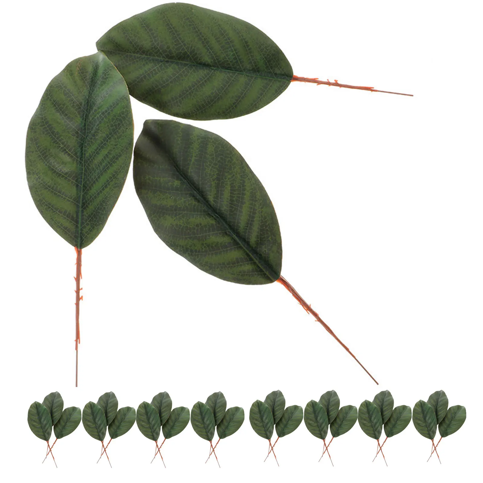 30pcs Fake For Crafts Silk Green Artificial Flowers Leaf Artificial Leaves Decor Faux Faux Leaves Decor Craft Wreath
30pcs Fake For Crafts Silk Green Artificial Flowers Leaf Artificial Leaves Decor Faux Faux Leaves Decor Craft Wreath