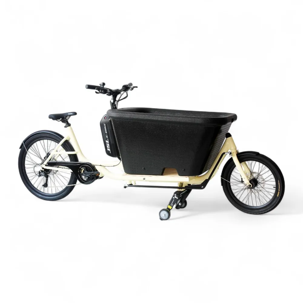 Electric Bikes Cargo with Storage and Seats 2 Wheel Delivery Ebike for Kids Pets Sale
Electric Bikes Cargo with Storage and Seats 2 Wheel Delivery Ebike for Kids Pets Sale