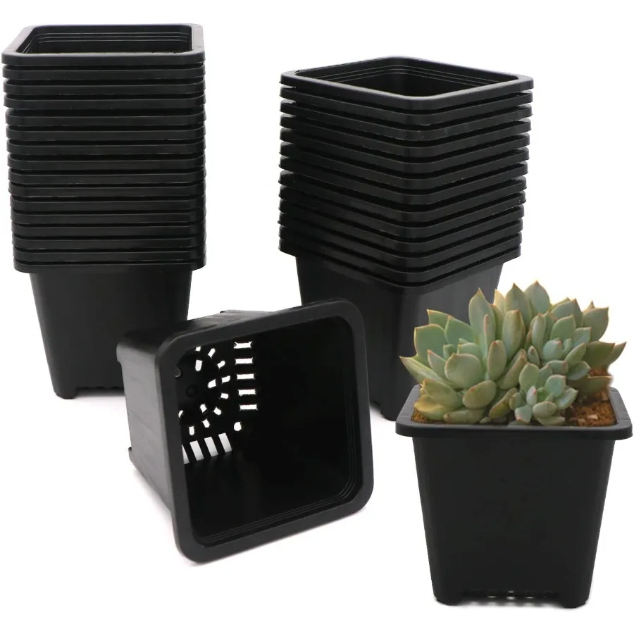 Пластиковые квадратные детские горшки, 30 шт., 4-дюймовый маленький квадратный горшок для растений, прочный черный стартовый контейнер для запуска саженцев или садов
Пластиковые квадратные детские горшки, 30 шт., 4-дюймовый маленький квадратный горшок для растений, прочный черный стартовый контейнер для запуска саженцев или садов