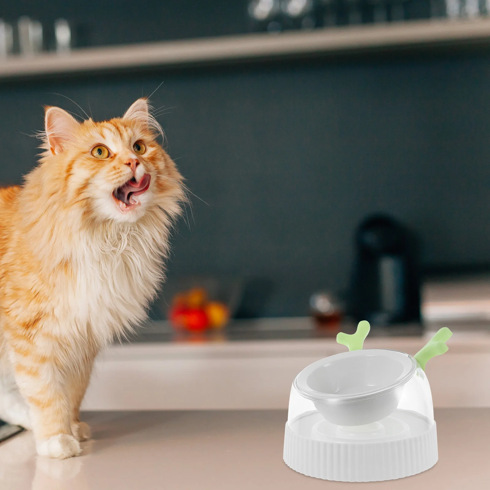 Spillproof Cat Dog Feeder Bowl Indoor Water Food Bowl Non-Slip Pet Feeder Dispenser Holder Cat Dog Food Holder
Spillproof Cat Dog Feeder Bowl Indoor Water Food Bowl Non-Slip Pet Feeder Dispenser Holder Cat Dog Food Holder