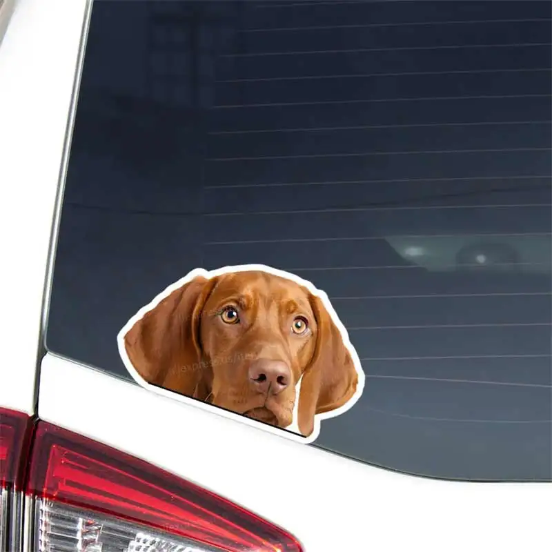 Vizsla Car Decal Sticker Peeking Realistic Russet & Gold Dog Head Face Vinyl Waterproof Outdoor Bumper Window Laptop Y137
Vizsla Car Decal Sticker Peeking Realistic Russet & Gold Dog Head Face Vinyl Waterproof Outdoor Bumper Window Laptop Y137