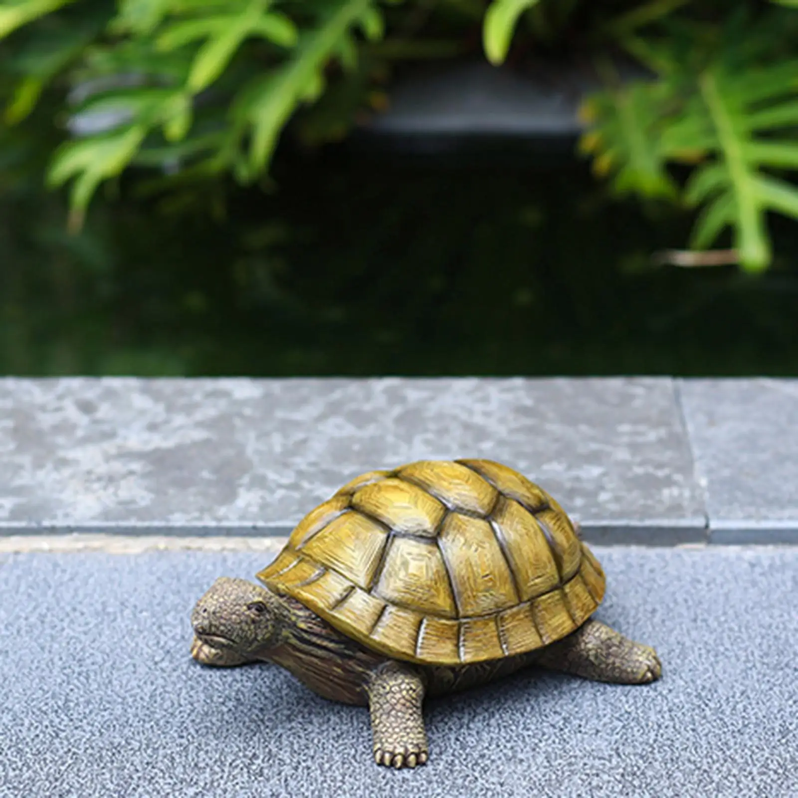 Resin Tortoise Statue, Animal Sculpture, Garden Sculpture, Tortoise Figurine, Outdoor Decorative Statue Decoration Ornament
Resin Tortoise Statue, Animal Sculpture, Garden Sculpture, Tortoise Figurine, Outdoor Decorative Statue Decoration Ornament