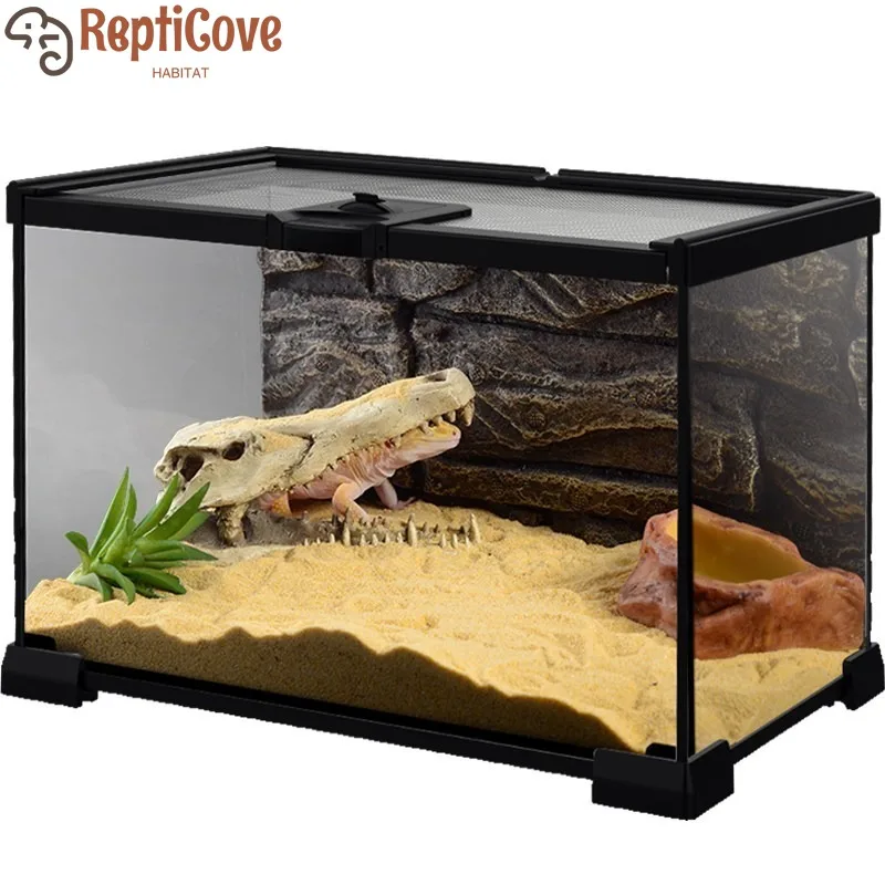 Стеклянный террариум для восхождения домашних животных, экологический резервуар для тропического леса, рептильная змея, ящерица, рогатая лягушка, паук, суховой ящик для воды, высокое видимость
Стеклянный террариум для восхождения домашних животных, экологический резервуар для тропического леса, рептильная змея, ящерица, рогатая лягушка, паук, суховой ящик для воды, высокое видимость