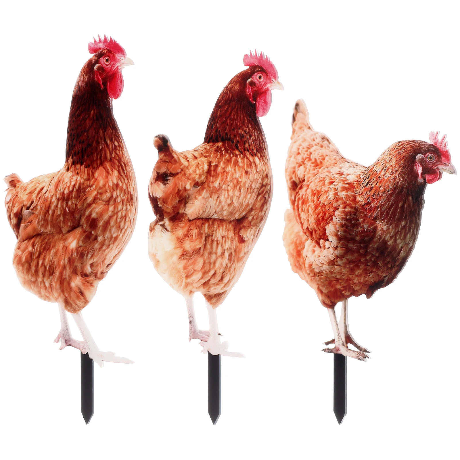 3pcs Acrylic Chicken Hen Garden Stakes Lawn Ornaments Decorative Inserts Statue Sculptures Outdoor Decoration Gifts
3pcs Acrylic Chicken Hen Garden Stakes Lawn Ornaments Decorative Inserts Statue Sculptures Outdoor Decoration Gifts