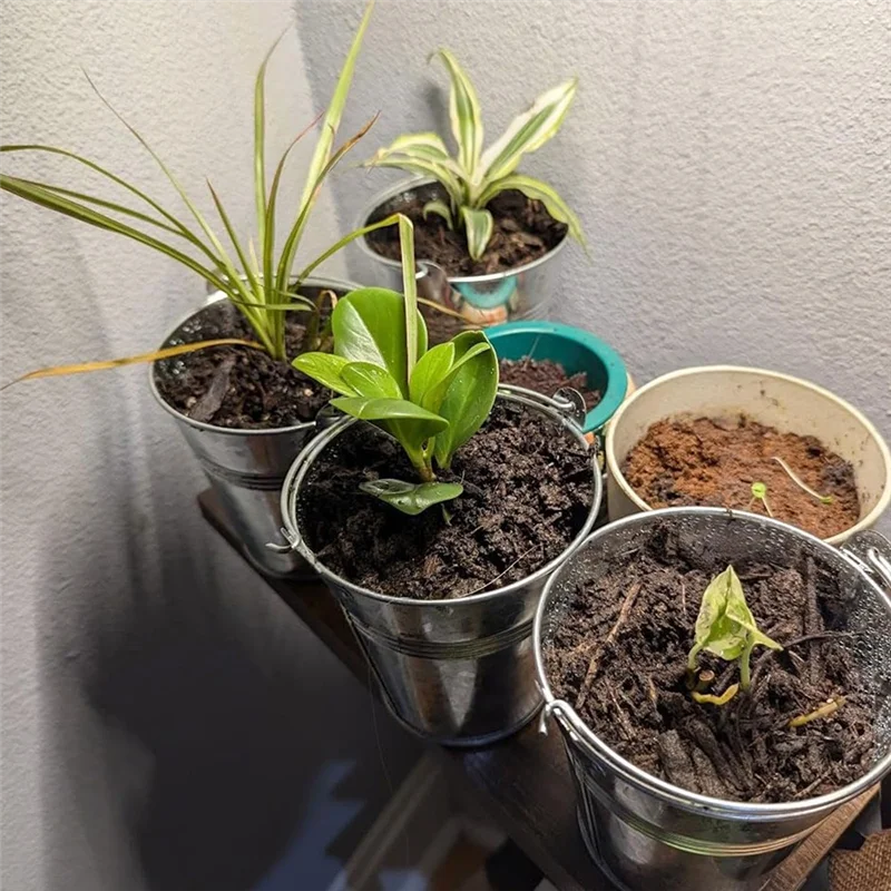 ABKY-оцинкованное металлическое ведро с ручкой (16 шт.), оцинкованное ведро для цветов для балконов, садов, патио, офисов, вечеринок
ABKY-оцинкованное металлическое ведро с ручкой (16 шт.), оцинкованное ведро для цветов для балконов, садов, патио, офисов, вечеринок