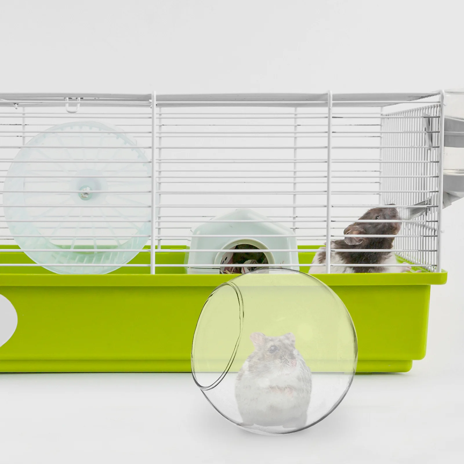 Hamster Glass House Clear Cooling Nest Summer Small Animal Rest Chinchilla Pet Supplies Hamster Cool Nest Hedgehog House
Hamster Glass House Clear Cooling Nest Summer Small Animal Rest Chinchilla Pet Supplies Hamster Cool Nest Hedgehog House