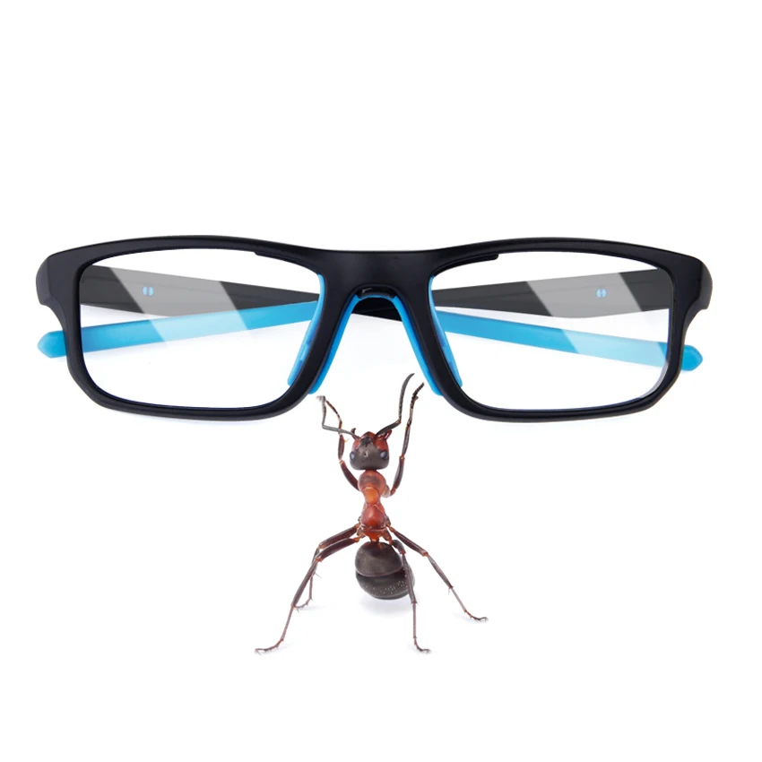 2025 новые модные баскетбольные спортивные очки, защитные очки для баскетбола и футбола, спортивные очки на открытом воздухе, спортивные очки для взрослых
2025 новые модные баскетбольные спортивные очки, защитные очки для баскетбола и футбола, спортивные очки на открытом воздухе, спортивные очки для взрослых