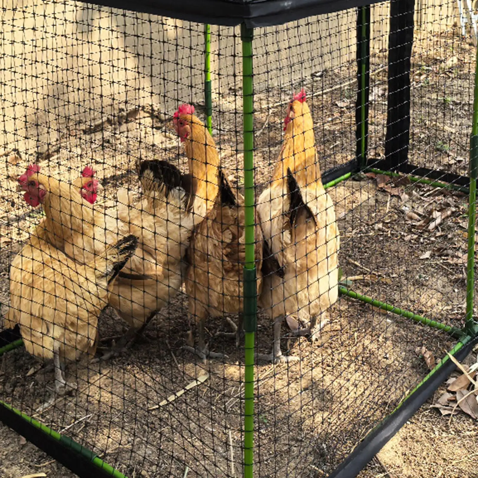 Chicken Cage Tunnel Outdoor Hen House Sunshade Cloth Stable Reinforced Support for Chickens and Ducks
Chicken Cage Tunnel Outdoor Hen House Sunshade Cloth Stable Reinforced Support for Chickens and Ducks