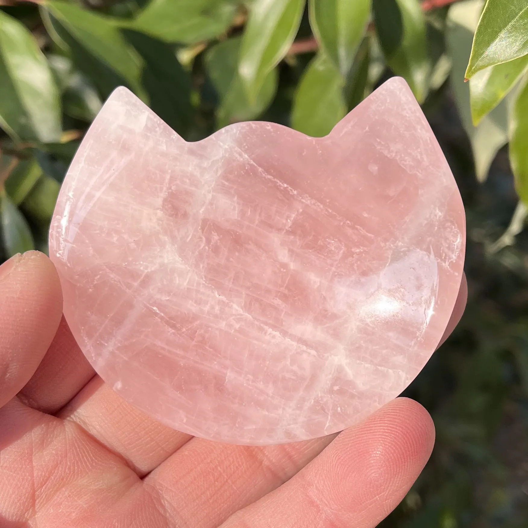Natural pink crystal cat ear shaped crystal degaussing bowl home living room table decoration
Natural pink crystal cat ear shaped crystal degaussing bowl home living room table decoration