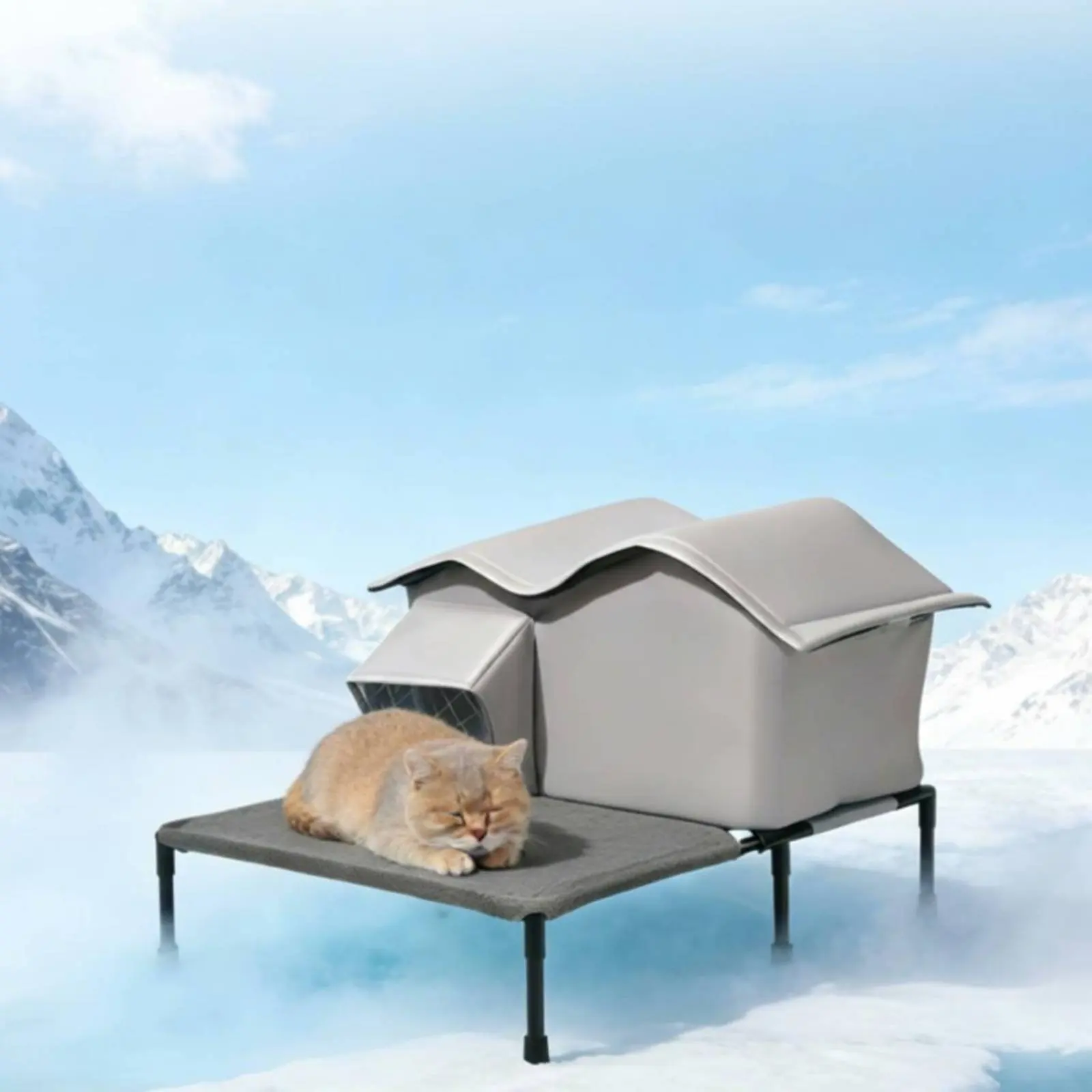 2-in-1 Pet House and Bed Breathable Elevated Pet Cot with Awning Outdoor Cat House Bed Weatherproof for Small Dogs, Balcony
2-in-1 Pet House and Bed Breathable Elevated Pet Cot with Awning Outdoor Cat House Bed Weatherproof for Small Dogs, Balcony