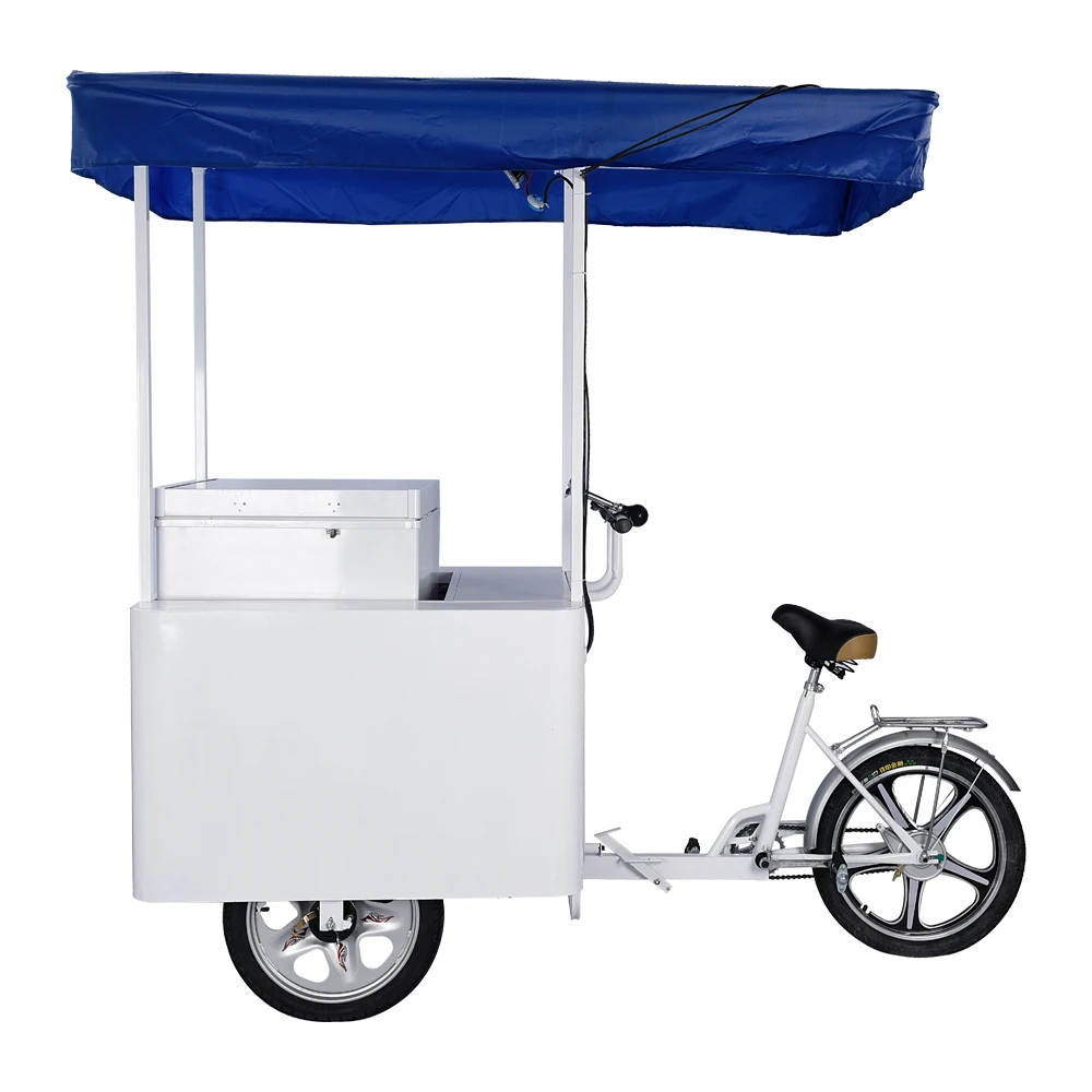 12v 24v Tricycle Freezer Bike Solar Powered Ice Cream Bike
12v 24v Tricycle Freezer Bike Solar Powered Ice Cream Bike