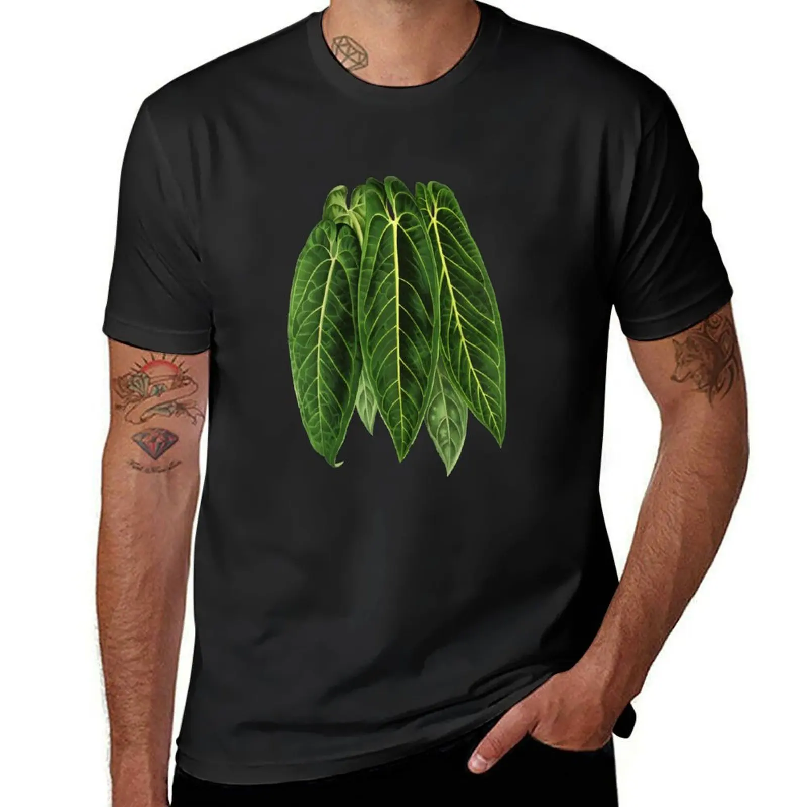 Мужская футболка Anthurium warocqueanum - Queen Anthurium, черные футболки с заготовками из аниме
Мужская футболка Anthurium warocqueanum - Queen Anthurium, черные футболки с заготовками из аниме