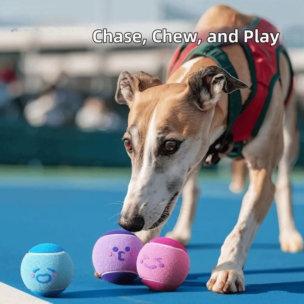 3 pieces Elastic Pet Tennis Ball Color Blocked Squeaky Sound Pet Interactive Ball Eco Friendly Cartoon Pattern
3 pieces Elastic Pet Tennis Ball Color Blocked Squeaky Sound Pet Interactive Ball Eco Friendly Cartoon Pattern