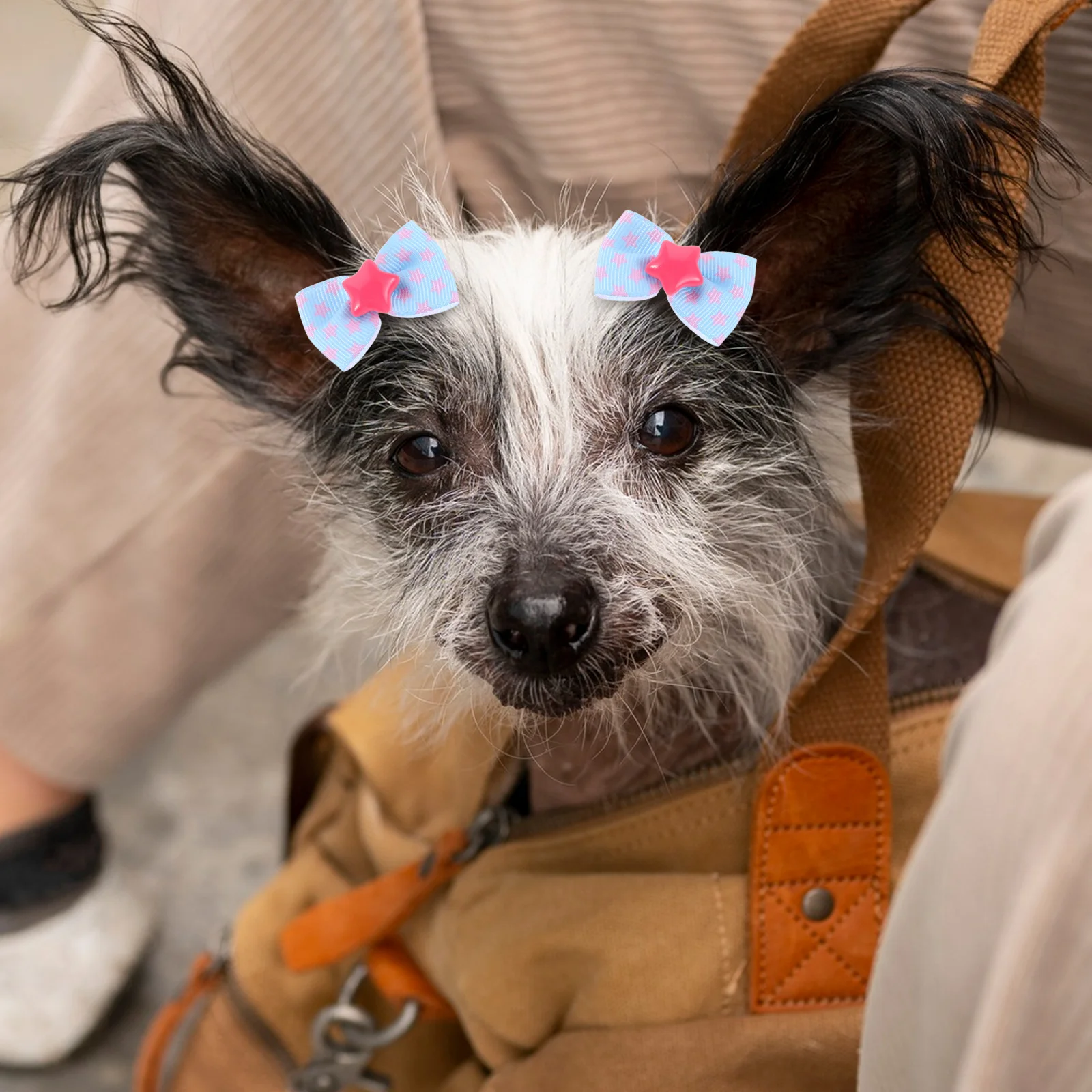 20 Pcs Pet Accessories Bow Tie Hair Band Headband Cat Dog Bowties for Small Dogs Collar
20 Pcs Pet Accessories Bow Tie Hair Band Headband Cat Dog Bowties for Small Dogs Collar