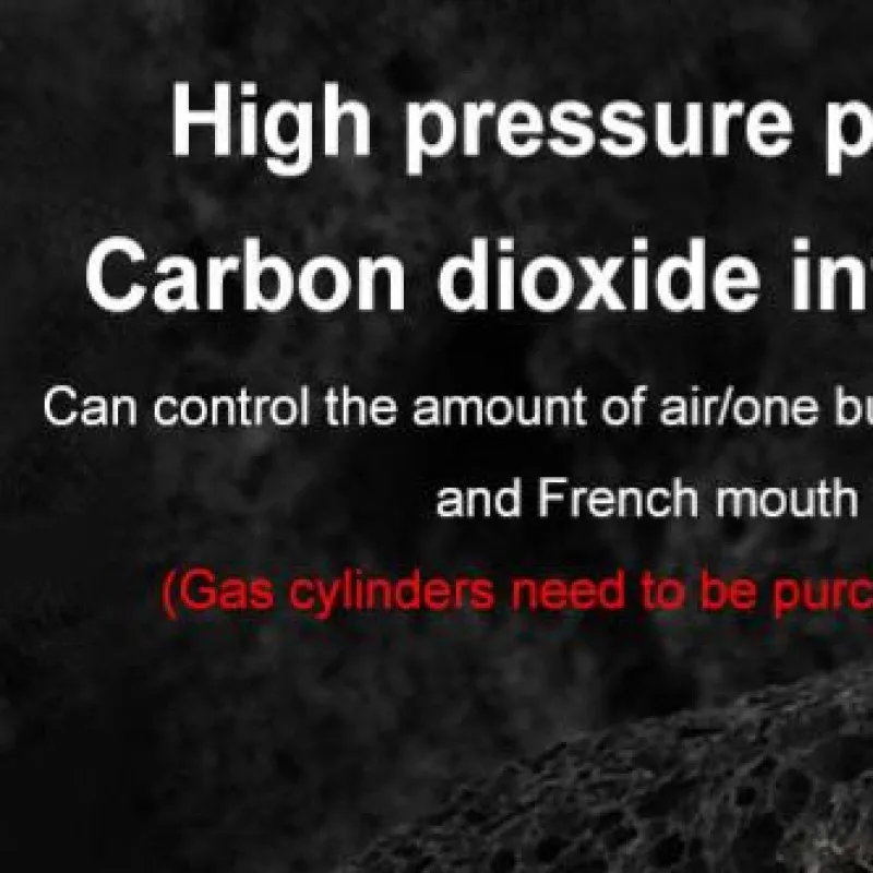 Air CO2 Inflator Schrader & Valve Mini Bicycle Pump Aluminum Alloy CO2 Bike Tire Inflator Cycling Accessories
Air CO2 Inflator Schrader & Valve Mini Bicycle Pump Aluminum Alloy CO2 Bike Tire Inflator Cycling Accessories
