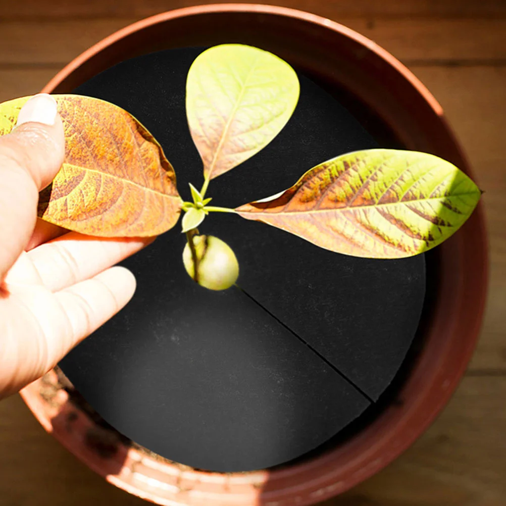 20pcs Non-Woven Mulch Mat For Garden Landscaping Root Barrier Fabric For Tree Trunk Protection Cabbage Flower Beds Orchard
20pcs Non-Woven Mulch Mat For Garden Landscaping Root Barrier Fabric For Tree Trunk Protection Cabbage Flower Beds Orchard