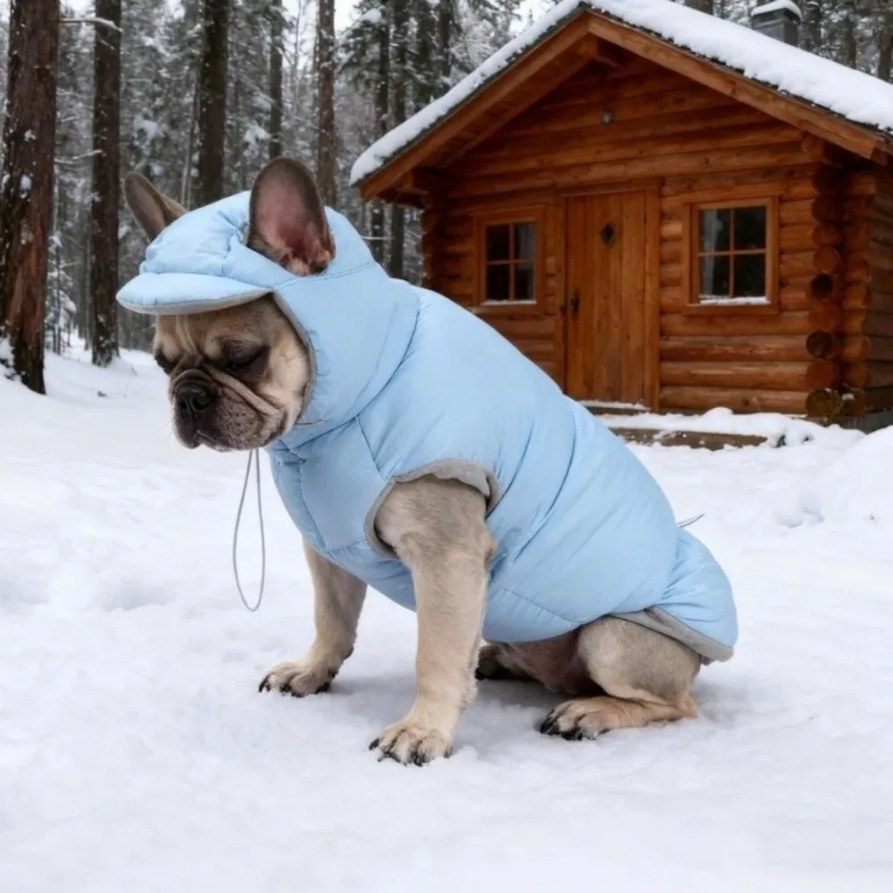 Fashion Warm Dog Down Jacket Thickened Adjustable Windproof Dog Jacket with Ear Hole Comfortable Dog Hood Coat Winter Season
Fashion Warm Dog Down Jacket Thickened Adjustable Windproof Dog Jacket with Ear Hole Comfortable Dog Hood Coat Winter Season