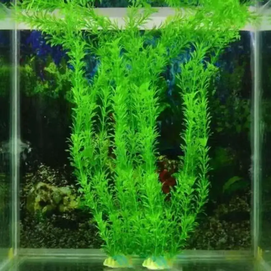 3pcs/5pcs (30cm)Plastic Aquarium Fish Tank Decor Water Weeds Plant Artificial Green Grass
3pcs/5pcs (30cm)Plastic Aquarium Fish Tank Decor Water Weeds Plant Artificial Green Grass