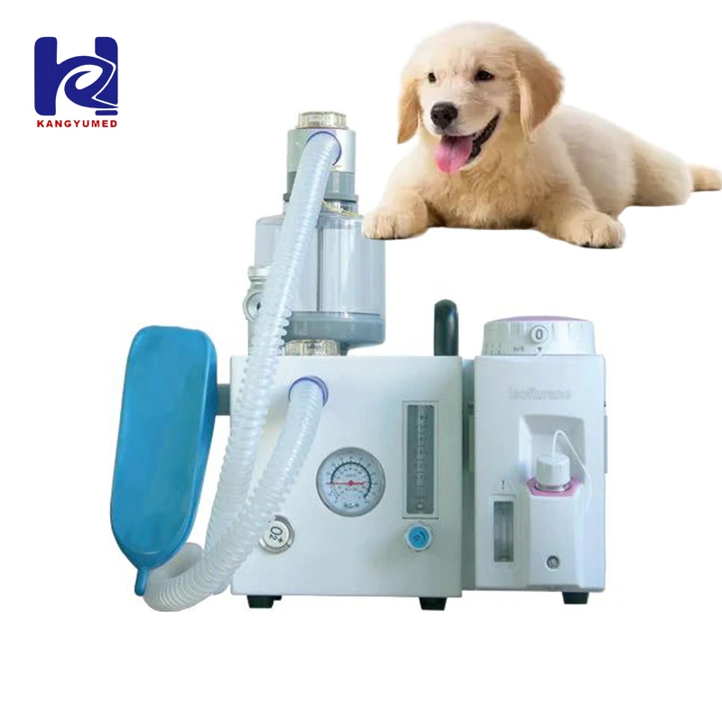 Портативный ветеринарный аппарат для анестезии животных KY-6D (дыхательная система)
Портативный ветеринарный аппарат для анестезии животных KY-6D (дыхательная система)
