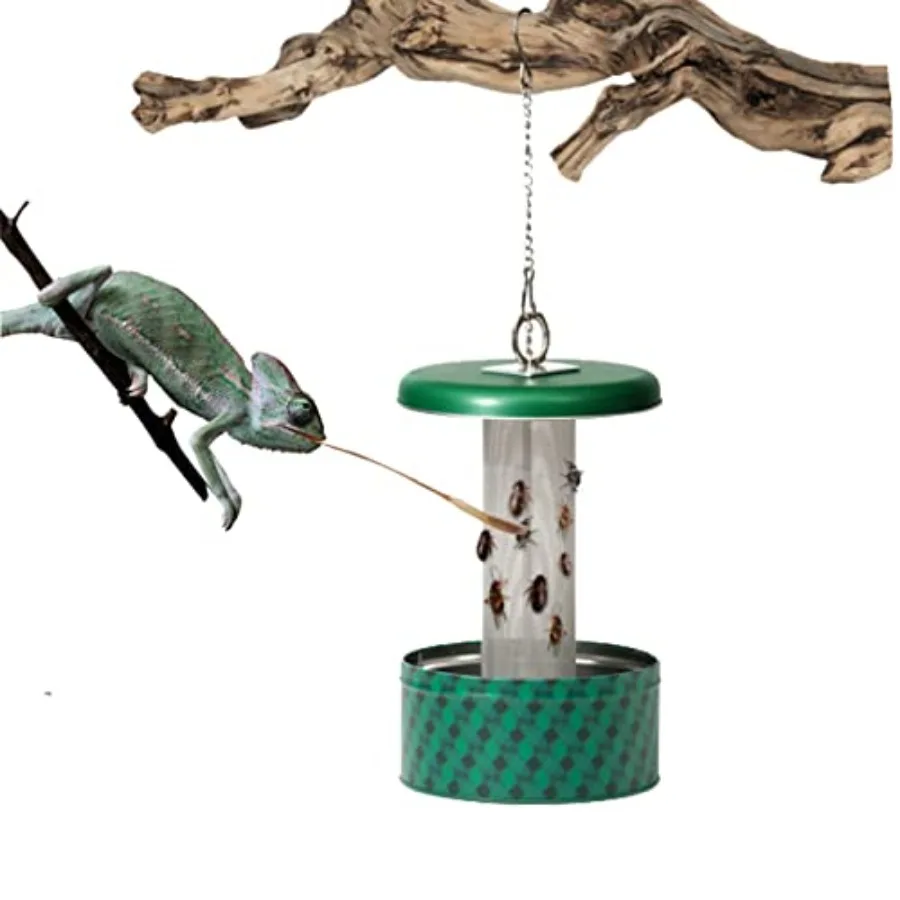 【Spot goods】Chameleon Feeding BowlHookable Lizard Feeder with Metal Mesh Column for Prey to Climb and Move Suitable for Lizard
【Spot goods】Chameleon Feeding BowlHookable Lizard Feeder with Metal Mesh Column for Prey to Climb and Move Suitable for Lizard