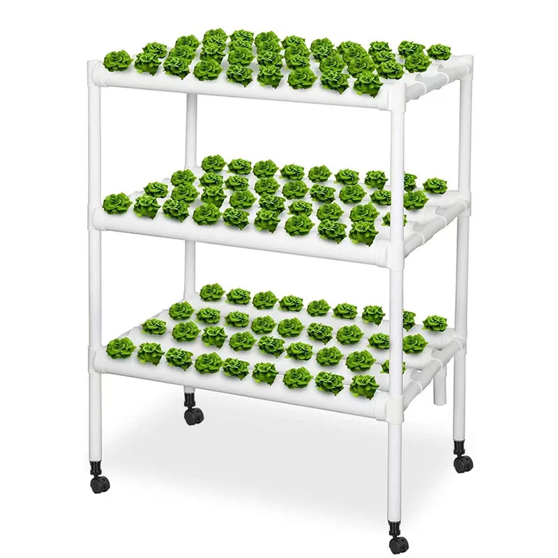 2025Micro Green Farm Aquaponics Крытая система выращивания ПВХ Системы выращивания гидрофоники
2025Micro Green Farm Aquaponics Крытая система выращивания ПВХ Системы выращивания гидрофоники