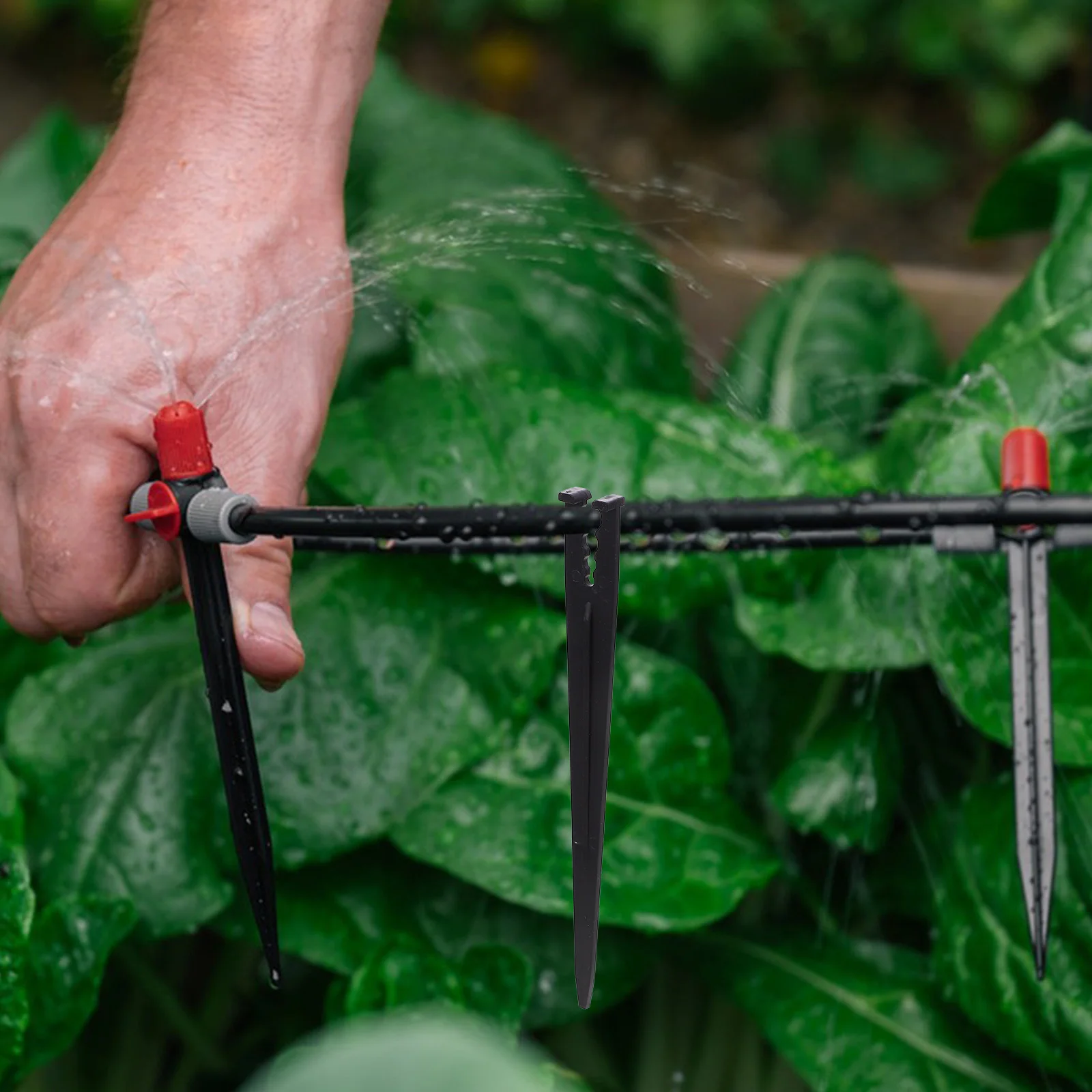 100Pcs Ground Rod Support Bracket Pe Insert Rod Irrigation Accessories for Drip Micro Irrigation System Garden Lawn Landscape
100Pcs Ground Rod Support Bracket Pe Insert Rod Irrigation Accessories for Drip Micro Irrigation System Garden Lawn Landscape