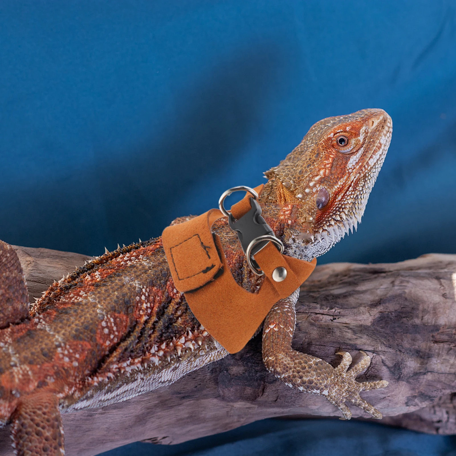 Lizard Leash Harness Bearded Dragon Small Animals Adjustable Portable Reptile Vest Design Lightweight Material Dual Fixed Snap
Lizard Leash Harness Bearded Dragon Small Animals Adjustable Portable Reptile Vest Design Lightweight Material Dual Fixed Snap