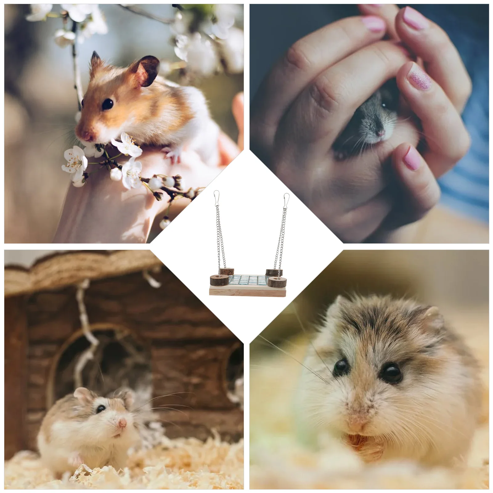 Wooden Cooling Hamster Cage Platform Hammock Cage Toy Safe Material Small Animal Hamster Platform Swing Pet Supplies
Wooden Cooling Hamster Cage Platform Hammock Cage Toy Safe Material Small Animal Hamster Platform Swing Pet Supplies