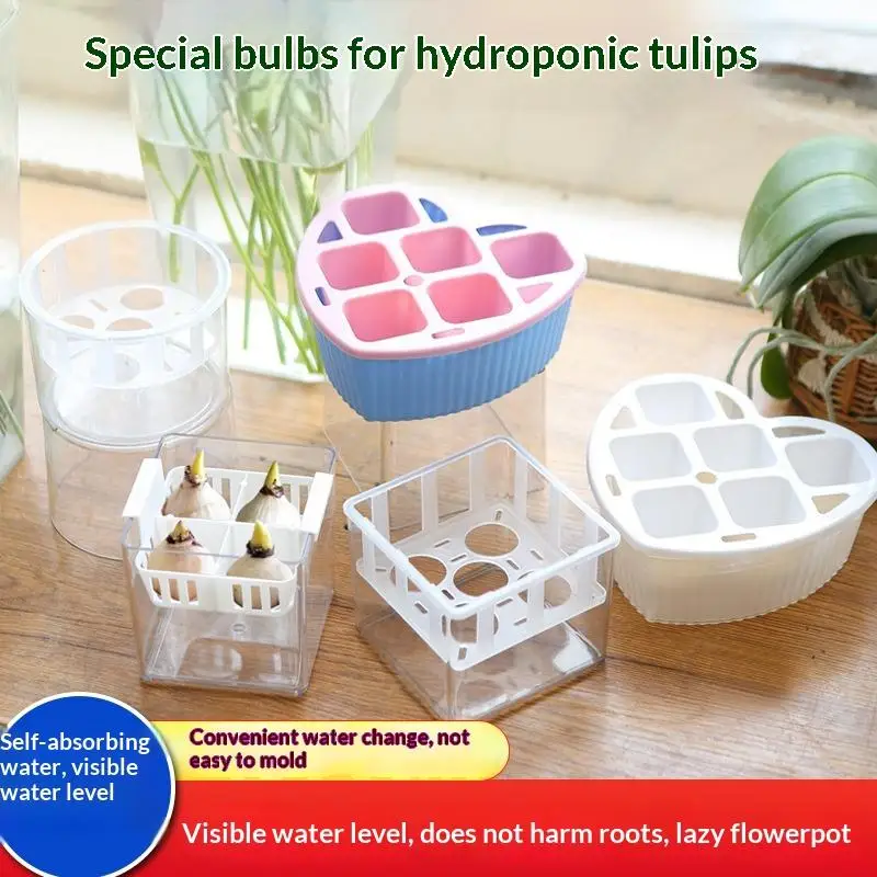 Grow Kit Acrylic Basin Root Check Strong Stable 4 5 Hole Basket Bulb Care Simple Indoor Decor Hydroponic Planter
Grow Kit Acrylic Basin Root Check Strong Stable 4 5 Hole Basket Bulb Care Simple Indoor Decor Hydroponic Planter