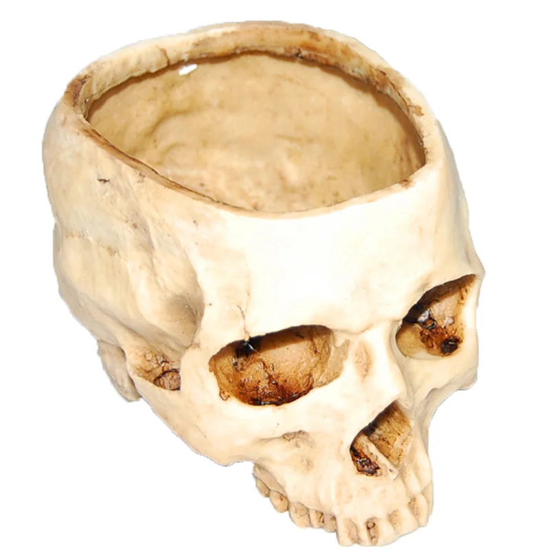 Halloween Resin Skull Flower Pot Ashtray Resin Skull Ornament Prank Funny Personalized Flower Pot
Halloween Resin Skull Flower Pot Ashtray Resin Skull Ornament Prank Funny Personalized Flower Pot