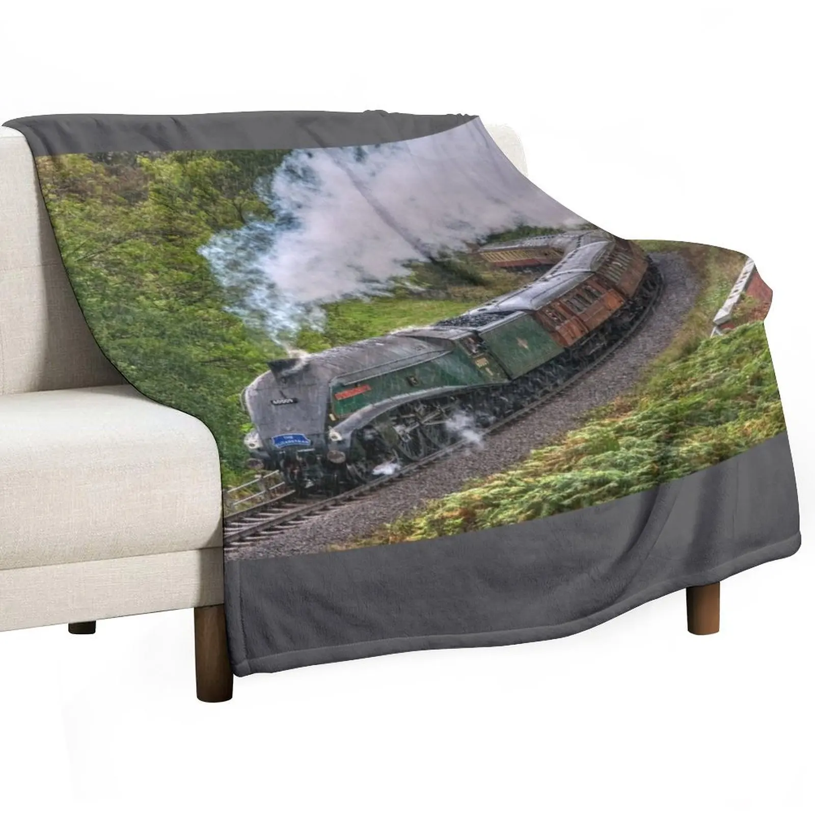 60009 Union of South Africa in the Rain Throw Blanket cosplay anime Bed Fashionable Bed covers Blankets For Bed Blankets
60009 Union of South Africa in the Rain Throw Blanket cosplay anime Bed Fashionable Bed covers Blankets For Bed Blankets