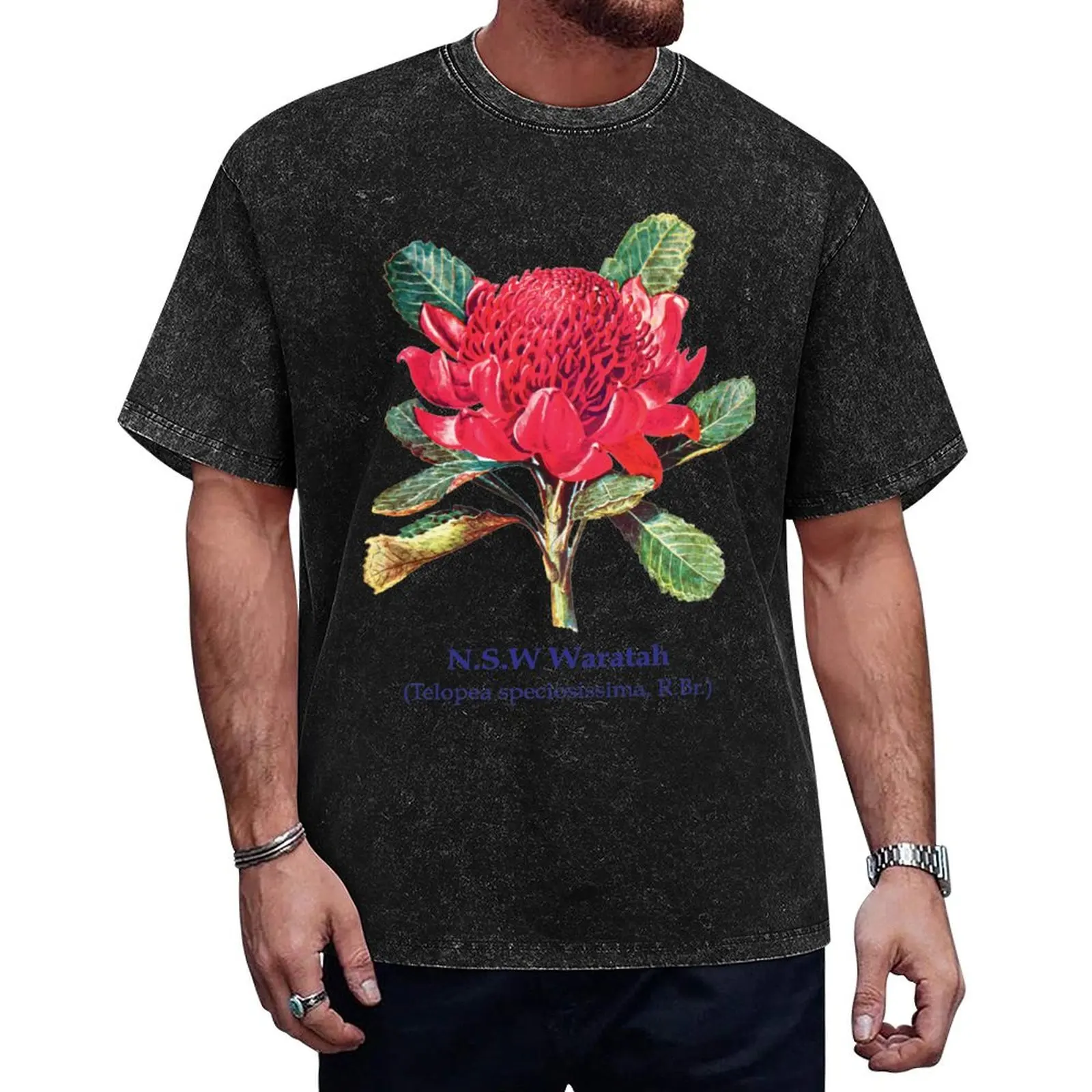 NSW Waratah Australian Native Flowers Floral T-Shirt shirts graphic vintage graphic tee designer t shirt men
NSW Waratah Australian Native Flowers Floral T-Shirt shirts graphic vintage graphic tee designer t shirt men