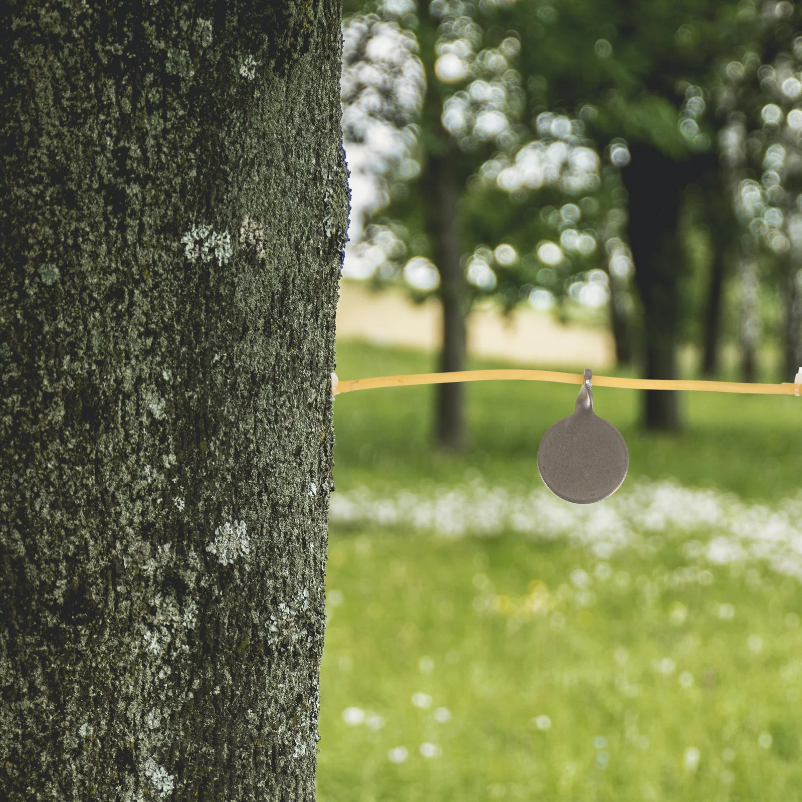 with Rubber Band Hanging Targets Training Major Shoot Steel Stainless Metal Tools
with Rubber Band Hanging Targets Training Major Shoot Steel Stainless Metal Tools