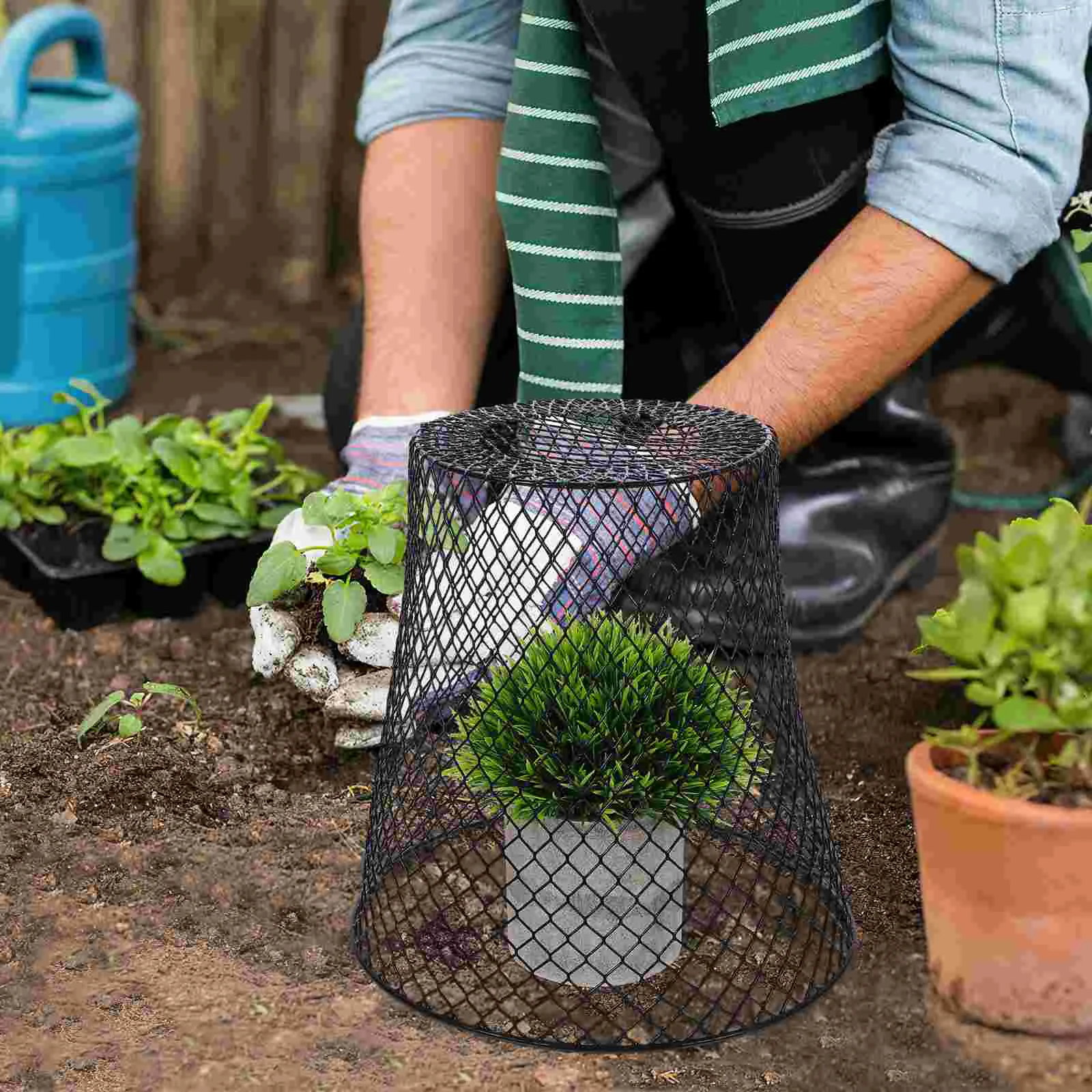Plant Protection Cover Protective Cage Iron Protector Supply Flowerpot Sturdy Large Pots
Plant Protection Cover Protective Cage Iron Protector Supply Flowerpot Sturdy Large Pots