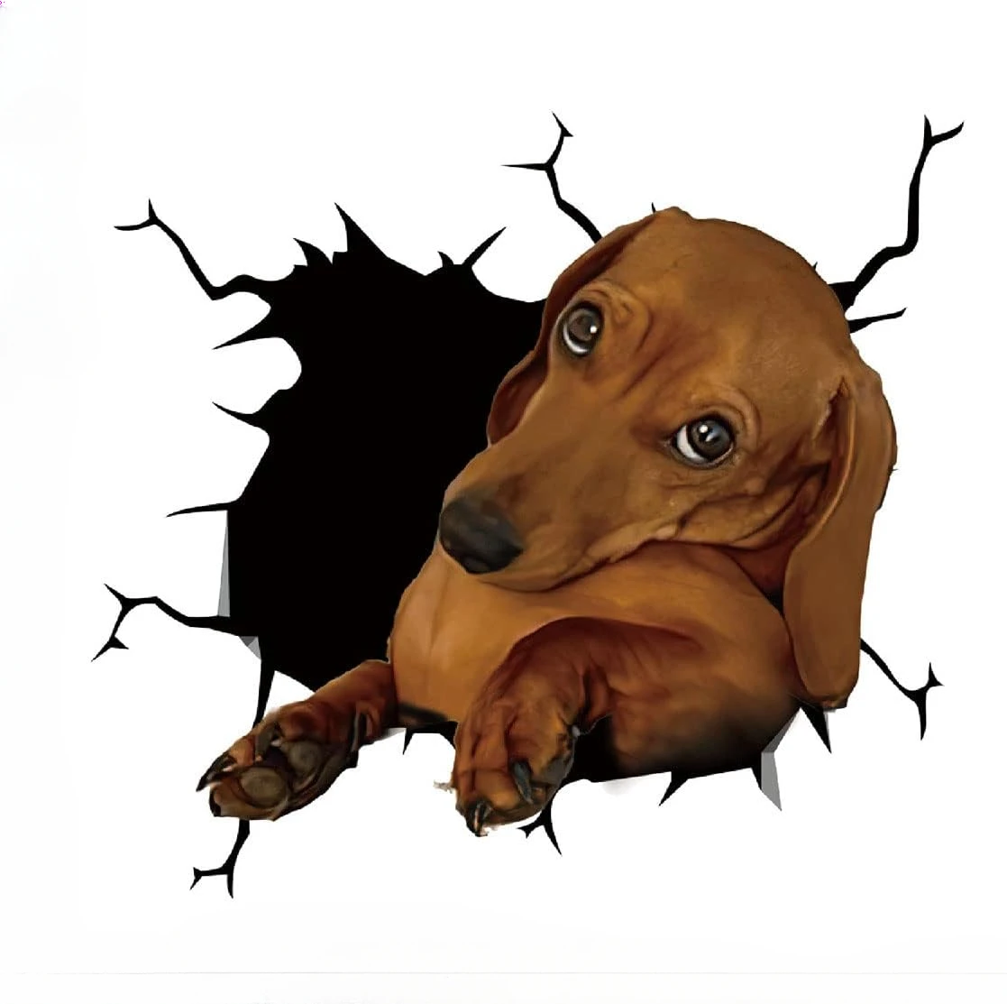 Classic Design Dachshund Car Cracking Sticker 3D Vinyl Waterproof Dog Auto Occlusion Scratch Decals,for Wall Laptop Car Window
Classic Design Dachshund Car Cracking Sticker 3D Vinyl Waterproof Dog Auto Occlusion Scratch Decals,for Wall Laptop Car Window