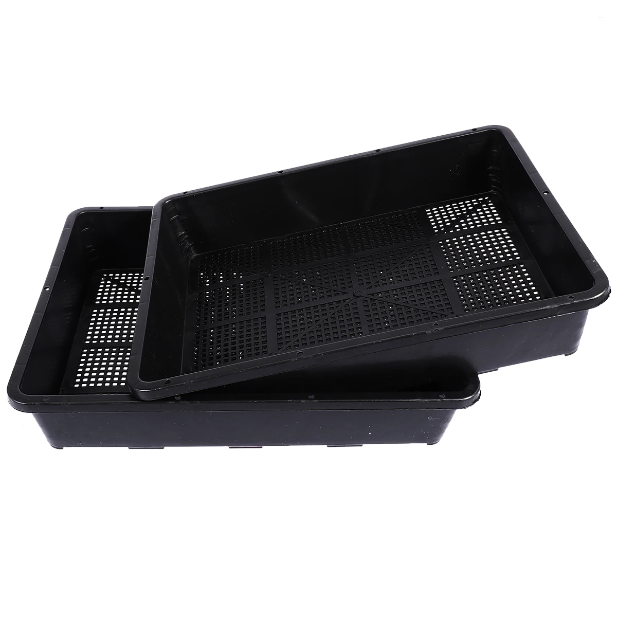 3 Pcs Growing Trays Nursery Plates Sprouters High Budding Rate Plastic Material Suitable Home Gardening Balcony Vegetable Garden
3 Pcs Growing Trays Nursery Plates Sprouters High Budding Rate Plastic Material Suitable Home Gardening Balcony Vegetable Garden