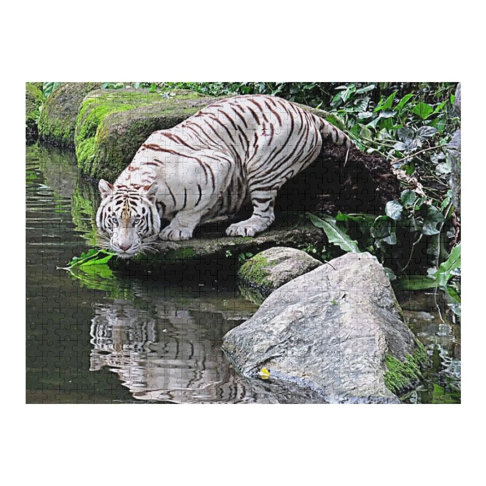 White Tiger and Reflection Jigsaw Puzzle Personalised Wooden Animal Customizable Child Gift Puzzle
White Tiger and Reflection Jigsaw Puzzle Personalised Wooden Animal Customizable Child Gift Puzzle