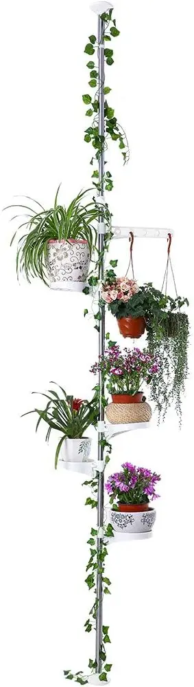5-Tier Adjustable Plant Stand, Stainless Steel Flower Display Rack with 360° Rotating Trays, Ivory
5-Tier Adjustable Plant Stand, Stainless Steel Flower Display Rack with 360° Rotating Trays, Ivory