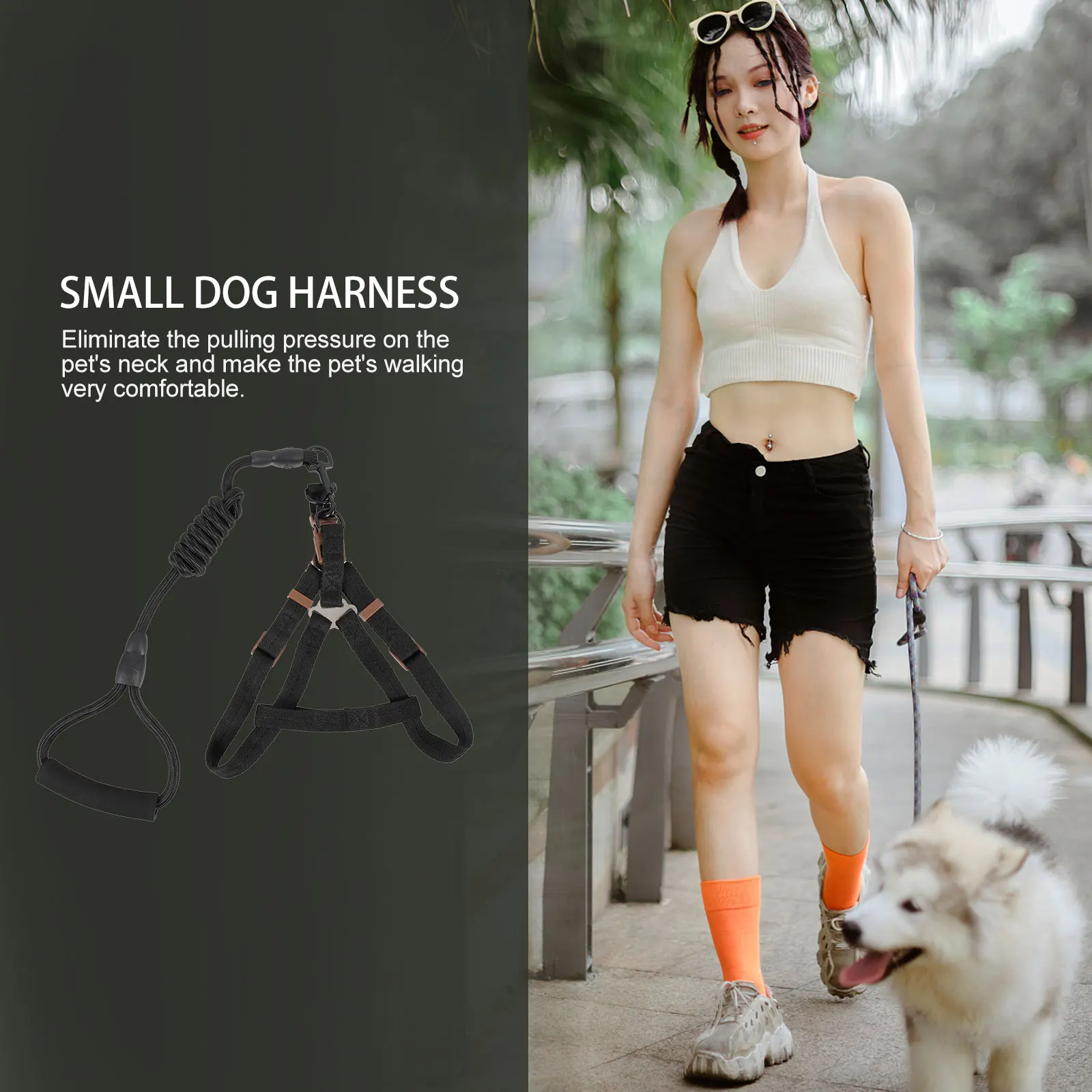 Durable Dog Harness Leash Set for Small Large Dogs Nylon Training Walking Supplies Outdoor Pet Vest Rope Kit Premium Material 
Durable Dog Harness Leash Set for Small Large Dogs Nylon Training Walking Supplies Outdoor Pet Vest Rope Kit Premium Material