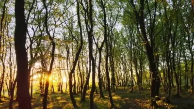 4Pcs 58Mm Tires 12Mm Hex Wheels With Sponge For 1/10 1/12 RC Drift Car 3Racing Sakura M4 M5 MST TCR Tamiya M04 M05
4Pcs 58Mm Tires 12Mm Hex Wheels With Sponge For 1/10 1/12 RC Drift Car 3Racing Sakura M4 M5 MST TCR Tamiya M04 M05