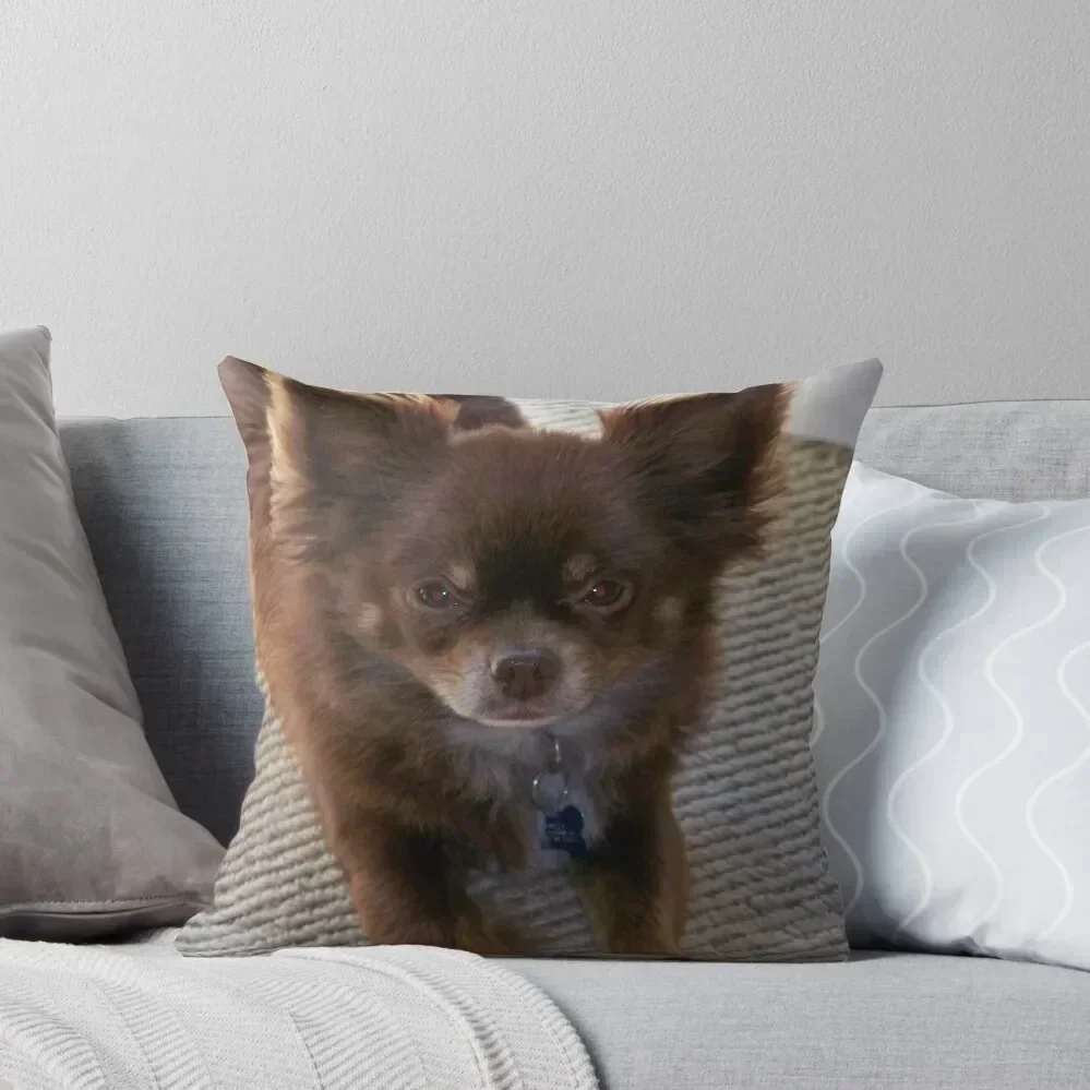Chocolate Long Coat Chihuahua Throw Pillow Ornamental Pillow Sofa Cushions Covers Embroidered Cushion Cover pillow
Chocolate Long Coat Chihuahua Throw Pillow Ornamental Pillow Sofa Cushions Covers Embroidered Cushion Cover pillow