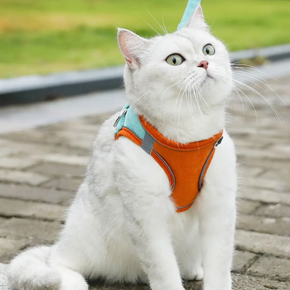 Cat Supplies Reflective Pet Chest Strap Anti Escape No Pull Cat Harness Vest Breathable Adjustable Dog Traction Rope Outdoor
Cat Supplies Reflective Pet Chest Strap Anti Escape No Pull Cat Harness Vest Breathable Adjustable Dog Traction Rope Outdoor