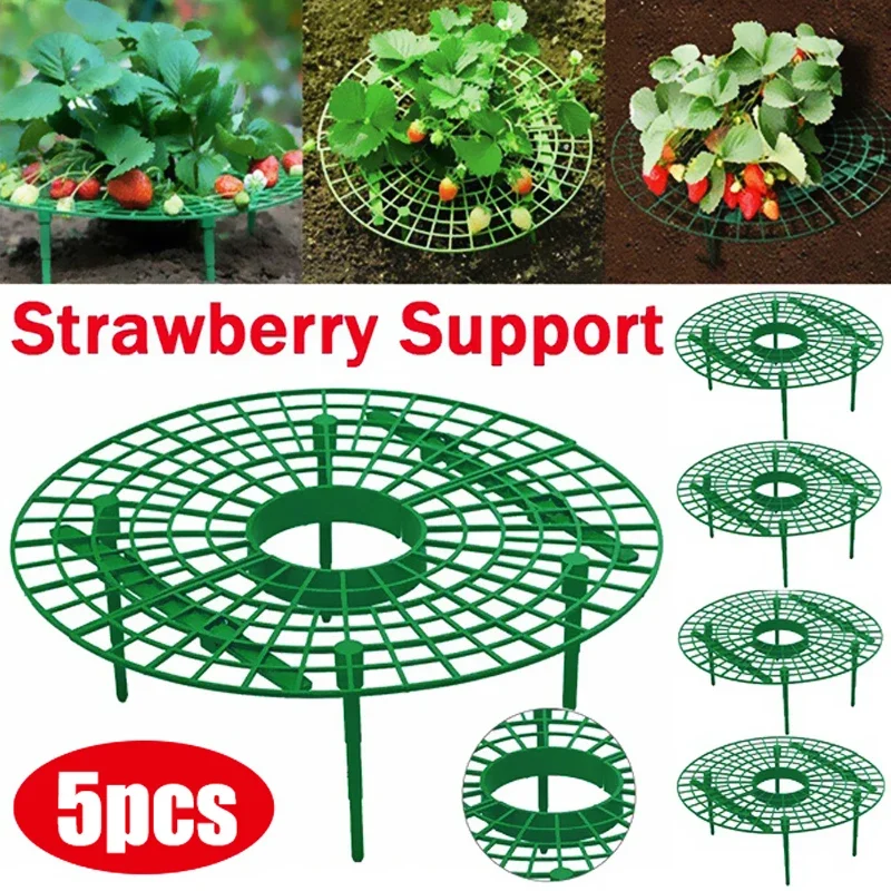 Strawberry Supports Keeping Plant Fruit Stand Vegetable Growing Rack Garden Tools for Protecting Vines Avoid Ground Gardening
Strawberry Supports Keeping Plant Fruit Stand Vegetable Growing Rack Garden Tools for Protecting Vines Avoid Ground Gardening