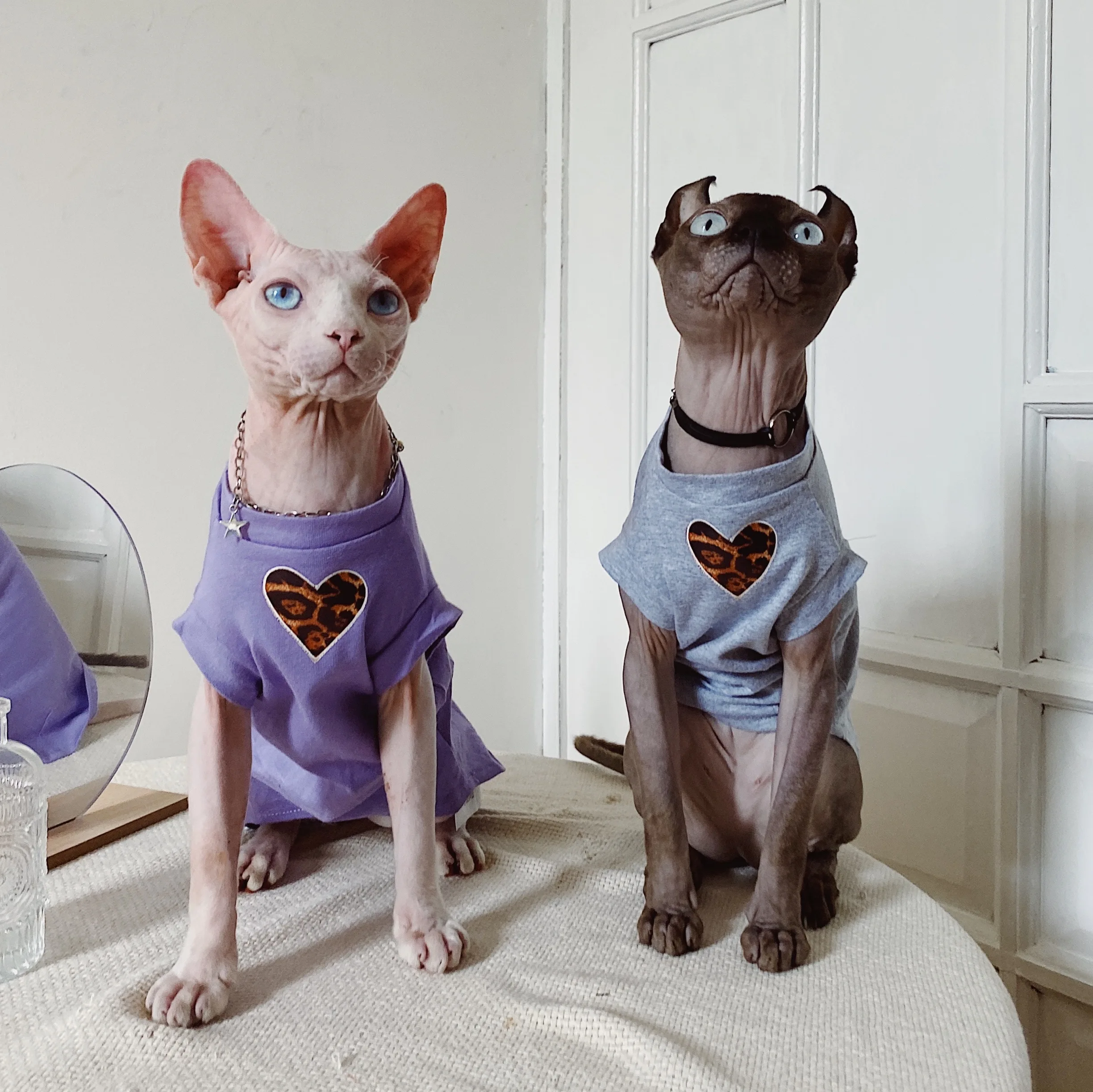 Sphynx Clothes Stretch Purple Cotton Heart Coa Letter Print T-shirt For Devon Rex Soft Fashion Jumpsuit for Kittens Cat Costume
Sphynx Clothes Stretch Purple Cotton Heart Coa Letter Print T-shirt For Devon Rex Soft Fashion Jumpsuit for Kittens Cat Costume