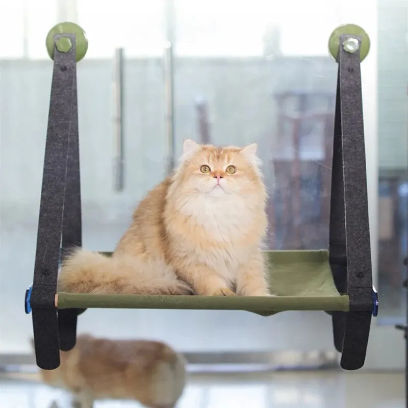 BOOTEELY Screw Sucker Balcony Cat Hammock Hanging Cat Hammock Pet Bed Window Cat Hanging Basket Wall-Mounted Wooden Cat Bed
BOOTEELY Screw Sucker Balcony Cat Hammock Hanging Cat Hammock Pet Bed Window Cat Hanging Basket Wall-Mounted Wooden Cat Bed