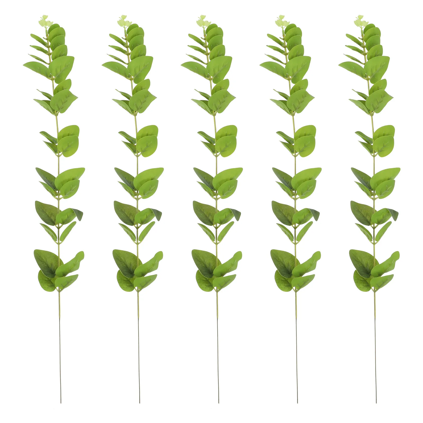 5 Pcs Plant Simulated Money Leaves Faux Foliage Silk Flower Decor Plants Indoor Stems 
5 Pcs Plant Simulated Money Leaves Faux Foliage Silk Flower Decor Plants Indoor Stems