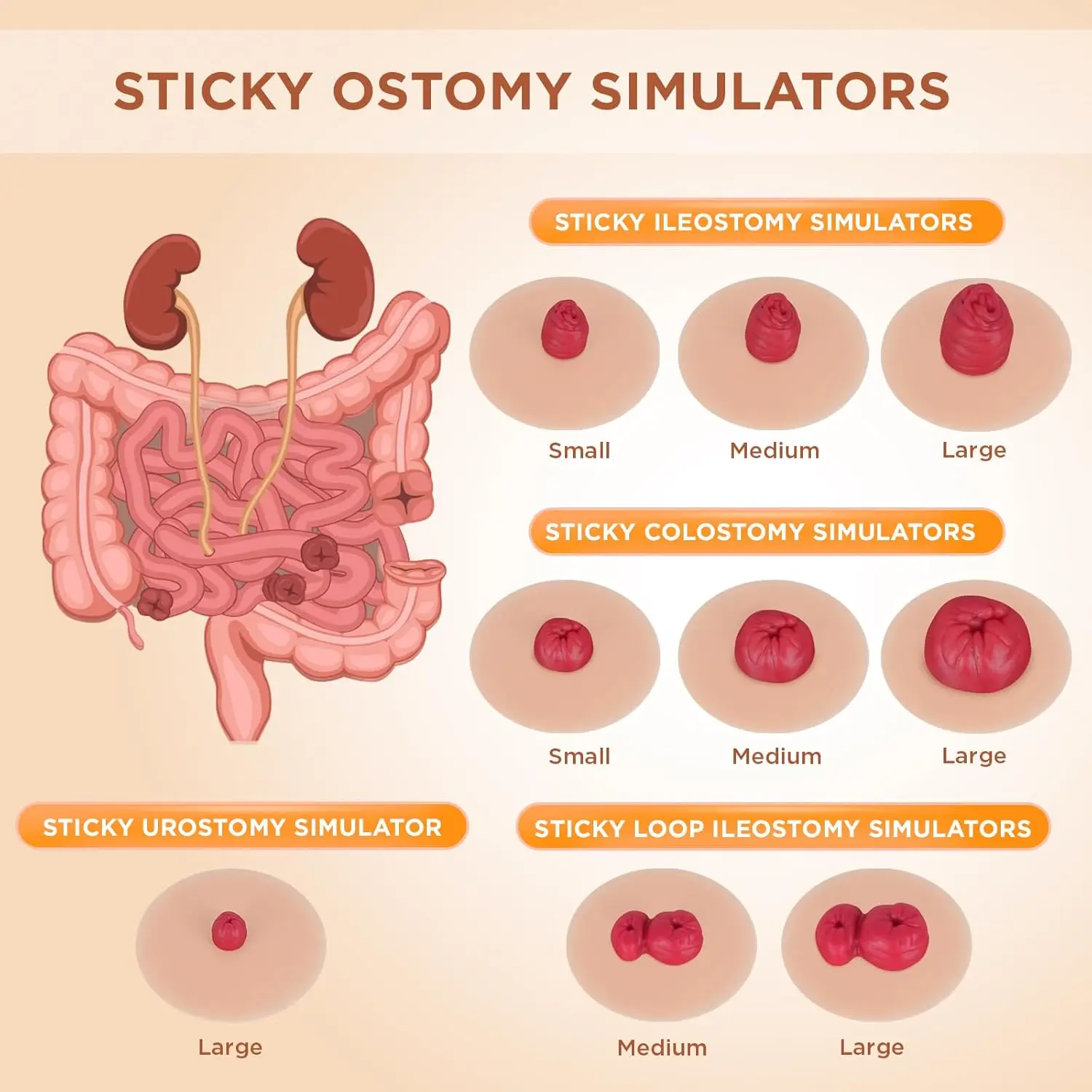 Sticky Ostomy Simulators Stoma Training Model Set 9 styles Stomy Care Practice Models for Medical Training and Patient Education
Sticky Ostomy Simulators Stoma Training Model Set 9 styles Stomy Care Practice Models for Medical Training and Patient Education