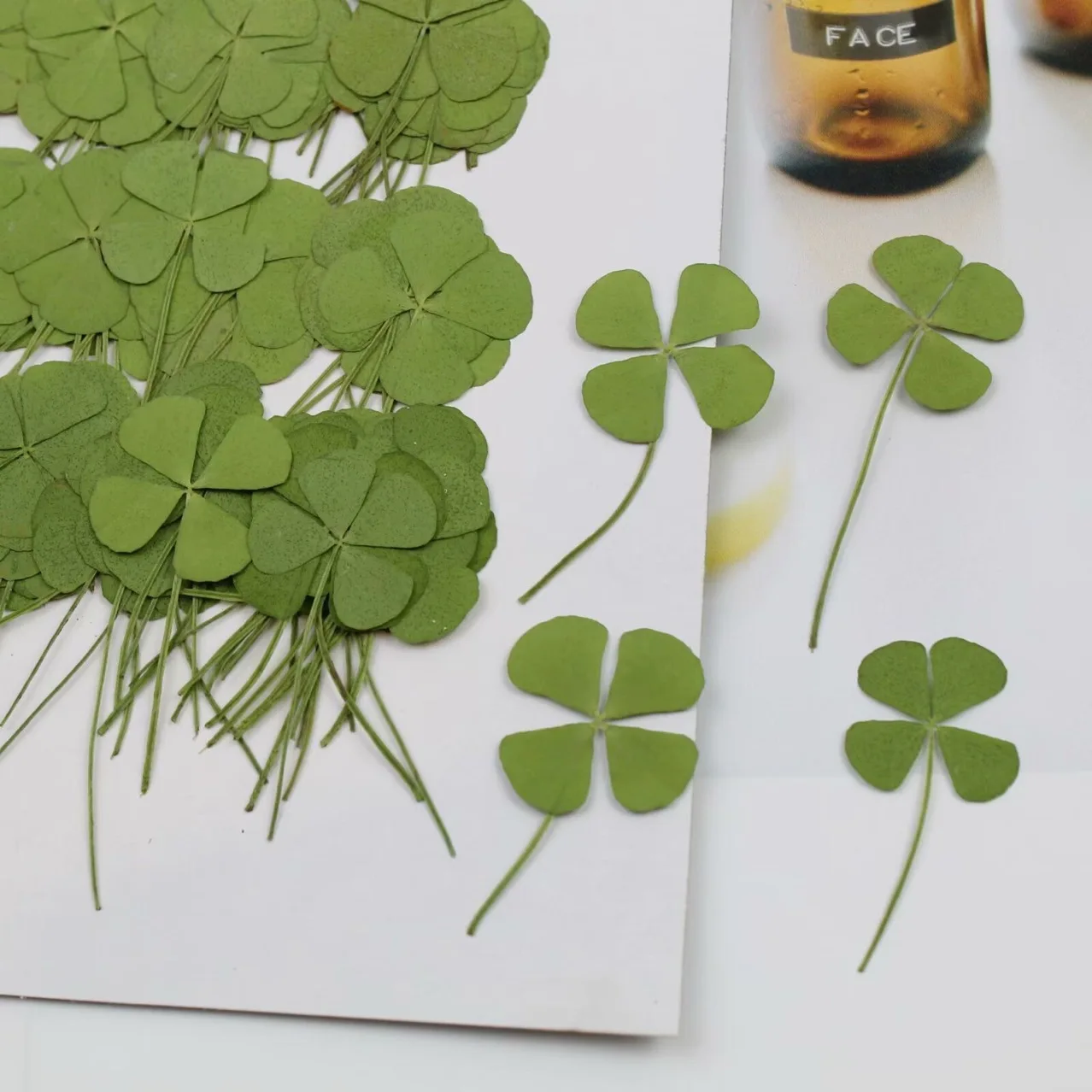 120Pcs Four-Leaf Clover Pressed Flower DIY Material Kit Plant Specimen Teaching Frame Bookmark Handmade Children's Pressed Flower Resin Phone Case Greeting Card Gift
120Pcs Four-Leaf Clover Pressed Flower DIY Material Kit Plant Specimen Teaching Frame Bookmark Handmade Children's Pressed Flower Resin Phone Case Greeting Card Gift