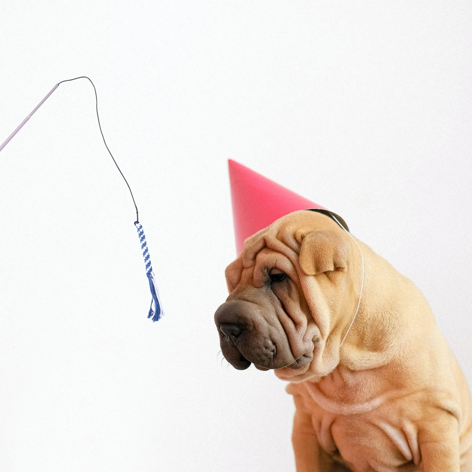 Dog Teaser Stick Rosy Golden Size L Extendable Flirt Pole Collapsible Pet Training Interactive Puppy Exercise Tool
Dog Teaser Stick Rosy Golden Size L Extendable Flirt Pole Collapsible Pet Training Interactive Puppy Exercise Tool